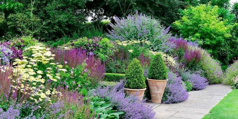 Flowers and Colors: Expert Tips from a Landscape Designer