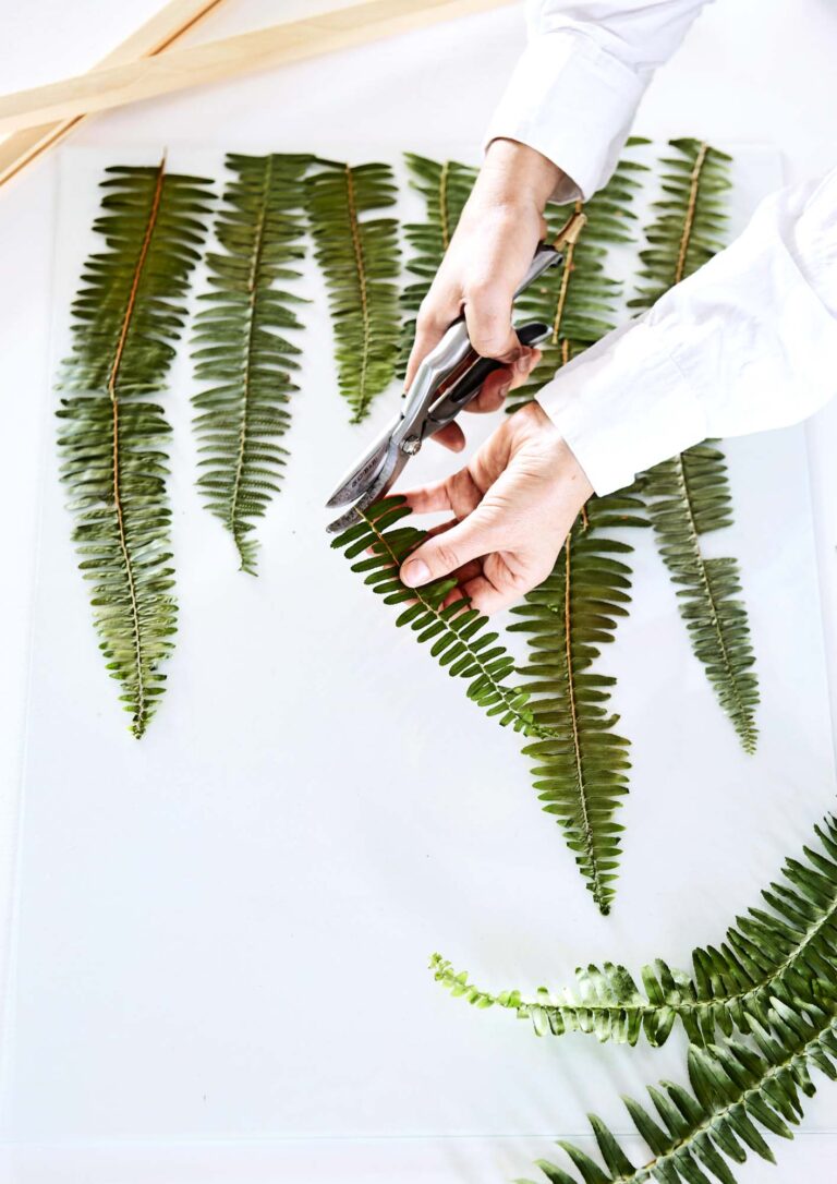 Transform Your Garden Treasures: A Guide to Pressing Plants and Flowers into Art