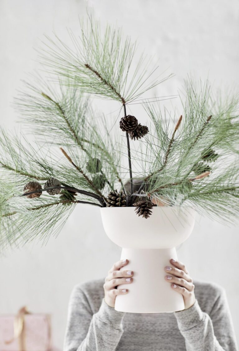 How to bring nature inside this Christmas