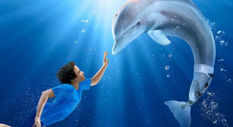Five Whale and Dolphin Movies That Will Bring You Closer to the Ocean