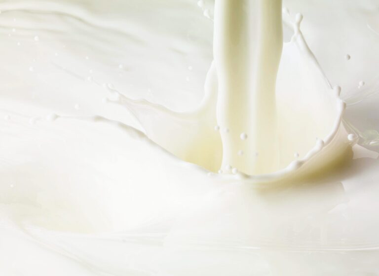 How to choose the right type of milk that you and your gut likes