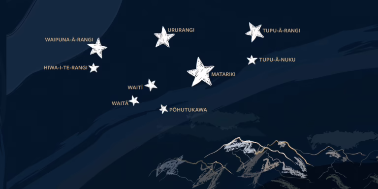 Discover the Matariki Stars: Kono’s Māori Business Shares Their Secrets