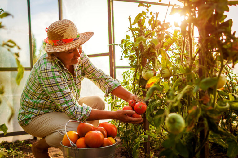 Expert Guide to Cultivating Fresh Produce in Your Backyard