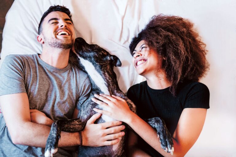 Everything you need to know about a raw food diet for your pet
