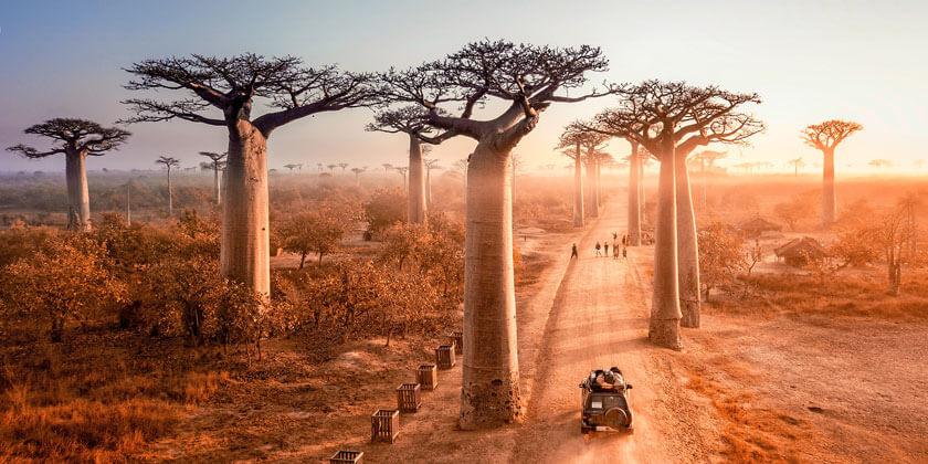 Tips Tricks for a round trip through rrMadagascar view