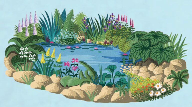 How to create a wildlife pond in your backgarden