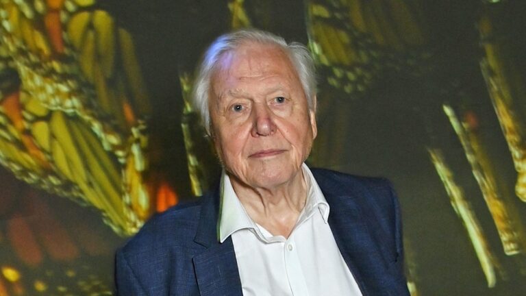 David Attenborough’s Heartfelt Confession About His London Sanctuary