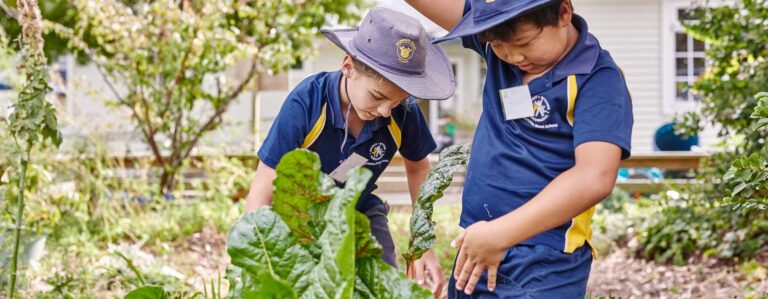 From Garden to Plate: Cultivating Young Minds and Healthy Eating
