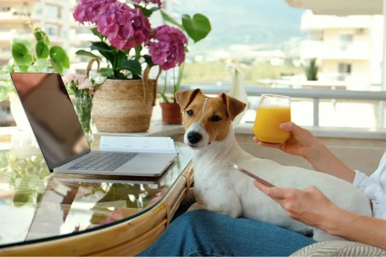 13 Lucrative Home-Based Pet Business Ideas to Turn Your Passion Into Profit