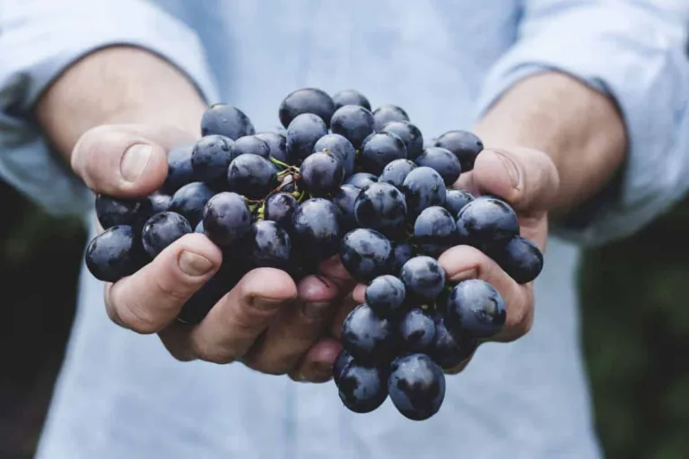 5 Simple Healthy Habits to Transform Your Life Starting Today