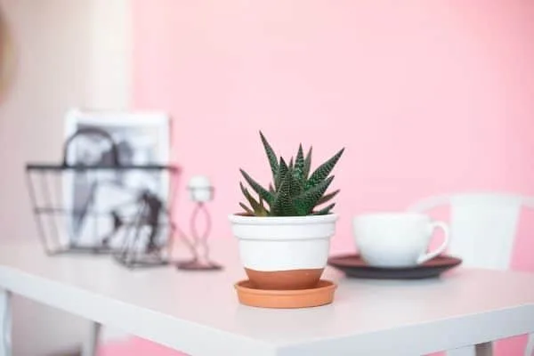 Get Hired Today: 15+ Immediate Work-From-Home Jobs (No Experience Needed)