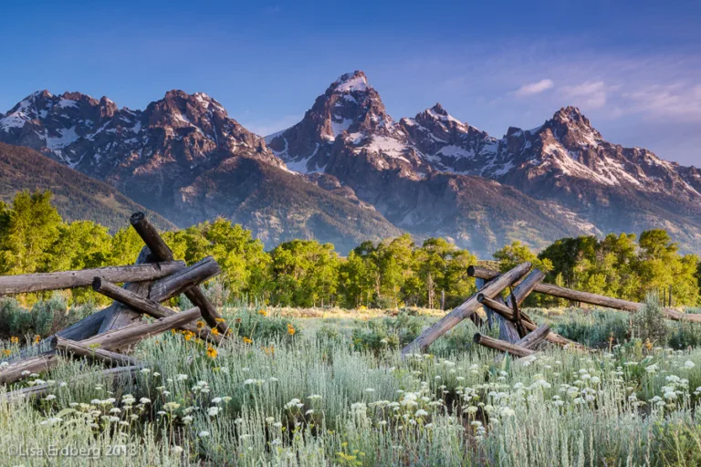 Treasures of the Tetons
