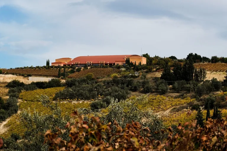 19 Must-Try Mediterranean Wines Handpicked by a Master Sommelier