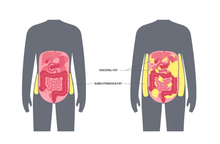 Visceral Fat After 50: How Intermittent Fasting Supports Fat Loss, Metabolic Health, and a Sharper Mind