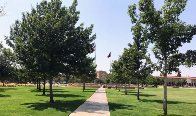 The Perfect Time to Visit Colleges: A Stress-Free Timeline for Parents
