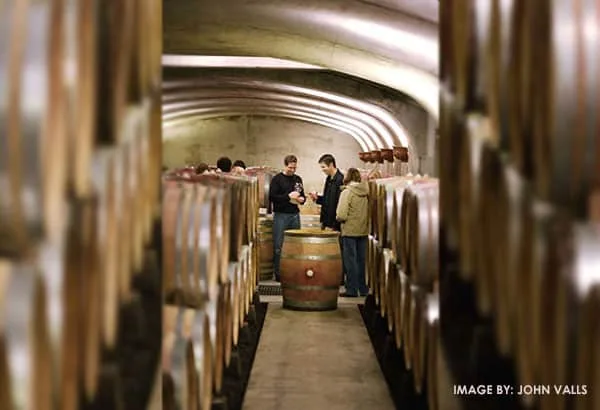 Why Willamette Valley Wine Country Is the Next Big Thing in American Viticulture