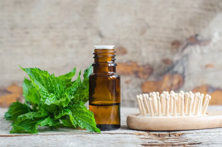 9 Powerful Herbs to Calm Scalp Inflammation & Revive Your Hair Naturally